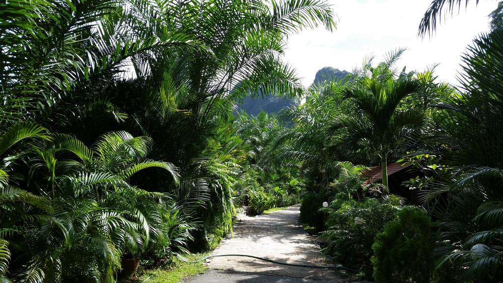 Hotel Khaosok And Spa Khao Sok National Park Exterior foto